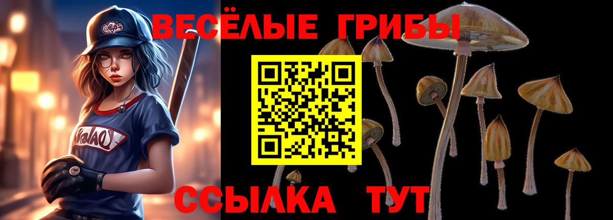 Псилоцибиновые грибы Psilocybe Энгельс
