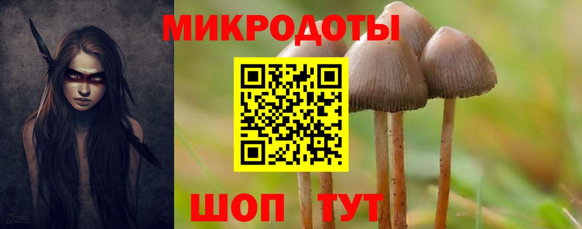 Энгельс  Псилоцибиновые грибы Cubensis  Вход с VPN  Псилоцибиновые грибы прущие грибы 